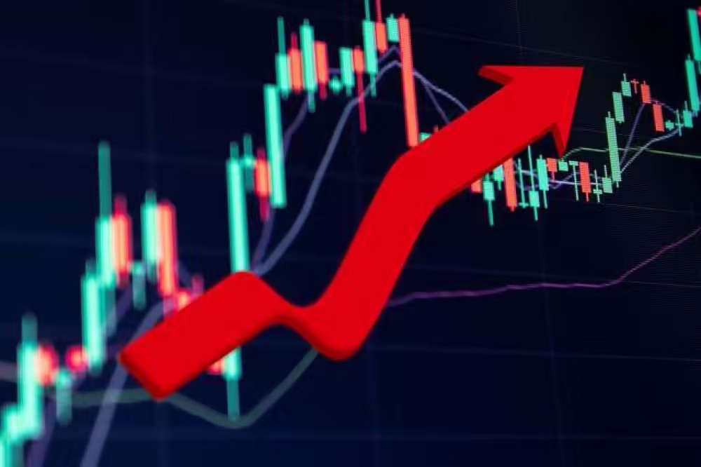 亏损3亿被罚7000万,麦趣尔暴涨60%。股民:看不懂